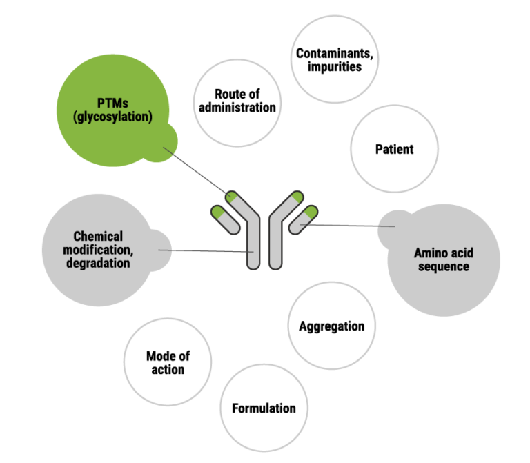Infographic summarizes summarizing key factors influencing immunogenicity of biotherapeutics, including molecular properties (e.g., sequence, PTMs, aggregation), product quality attributes, administration route, and patient-specific variables that collectively affect anti-drug antibody formation and adaptive immune responses. 